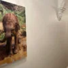 Herschel Inspire picture panel Elephant 1200 x 700
