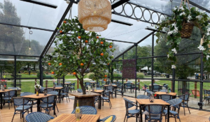 Cheltenham town hall with Black Summit