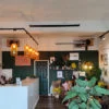 Herschel Black summit in coffee shop and plant shop