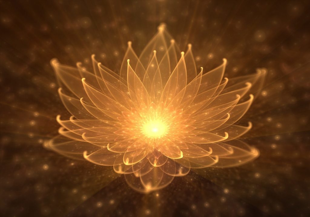 Herschel Radiant lotus