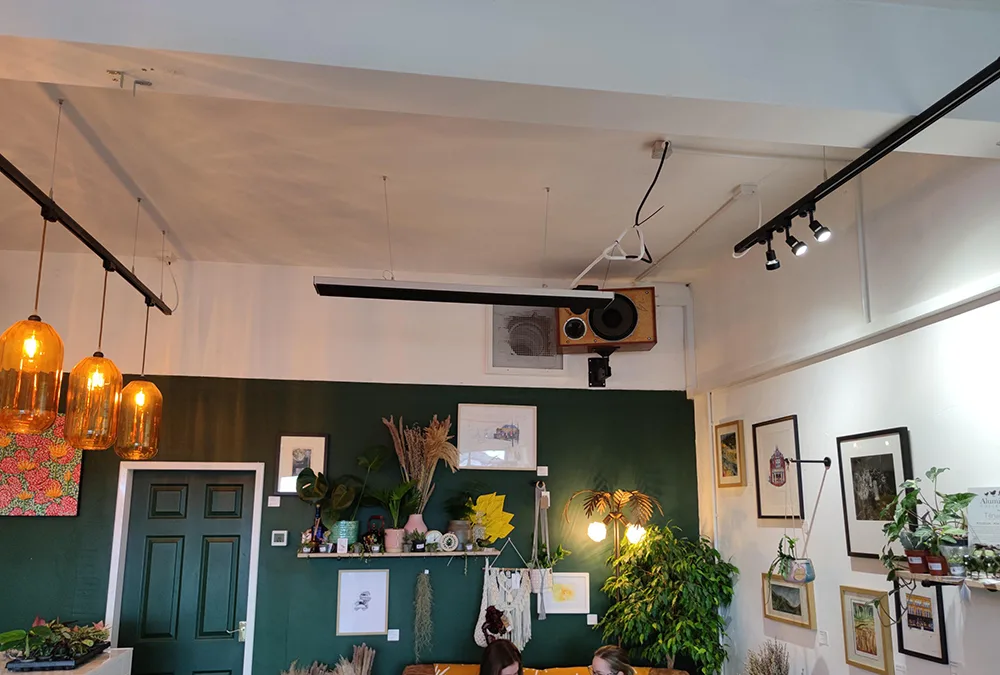 Herschel Black summit in coffee shop and plant shop