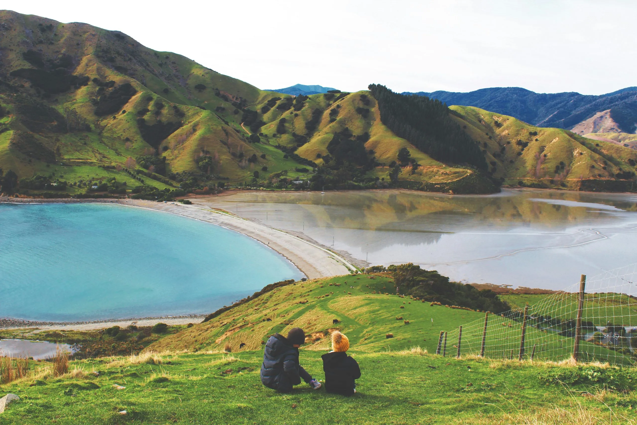 New Zealand landcape